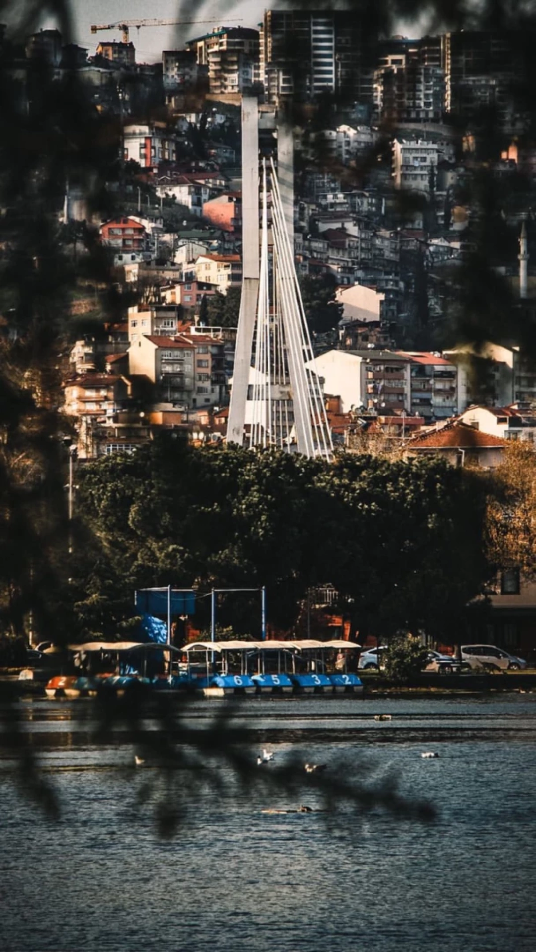 fuardan-izmite-nakis / 2814