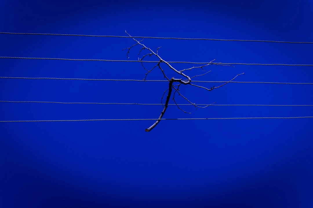 elektirik-dal-asilmak-mavi / 9314