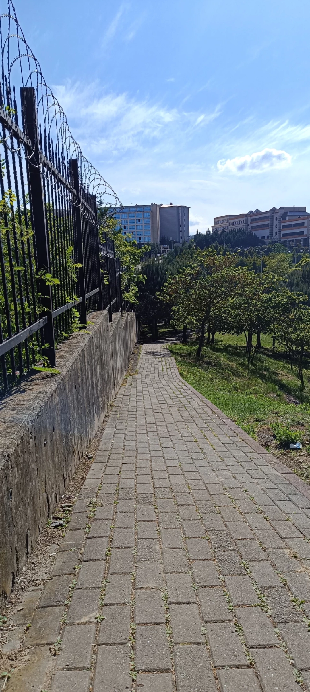 umuttepe-kampus / 13414