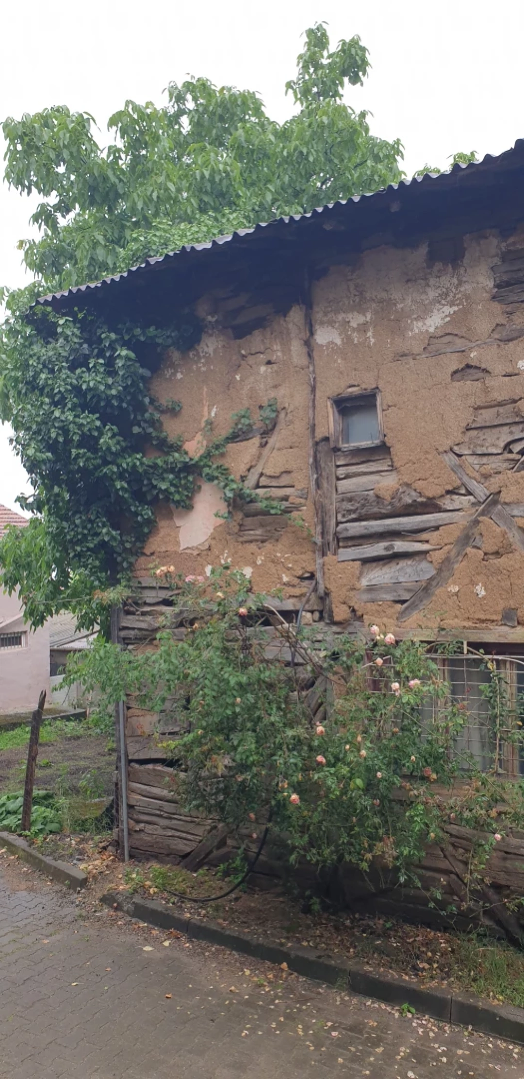 sarayli-koyu / 13058