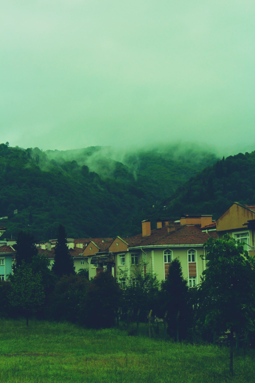 izmit-yuvacik / 15499