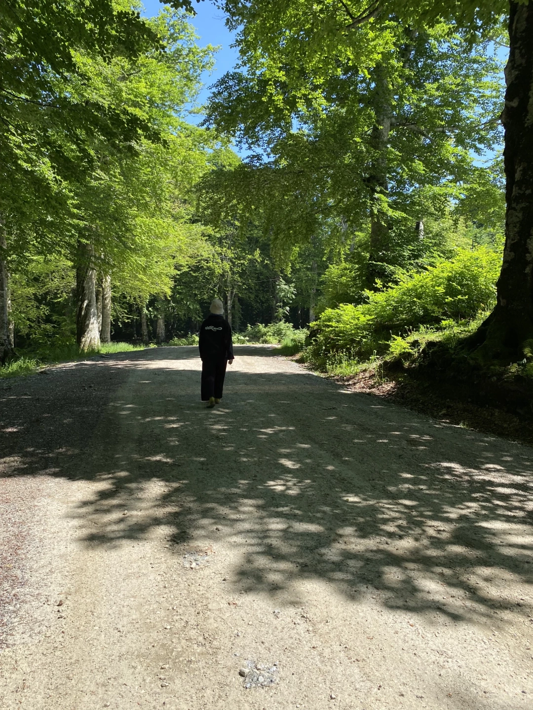 kuzuyayla-tabiat-park / 6311