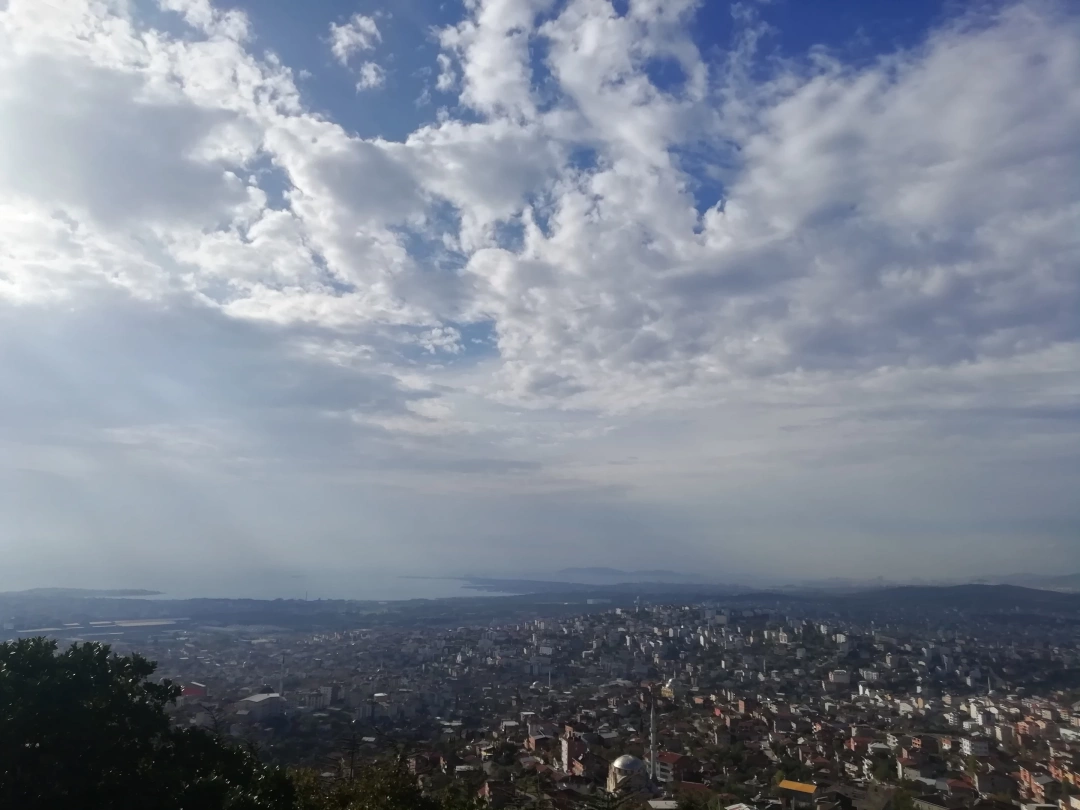 beylikdagi-kent-ormani-gebze-cayirova-kocaeli / 3911