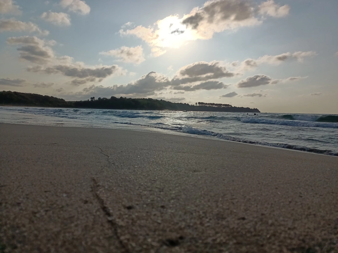 kandira-kumcagiz / 5399