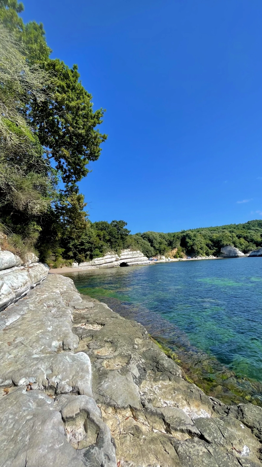 at-kerpe-at-midyekoyu / 1711