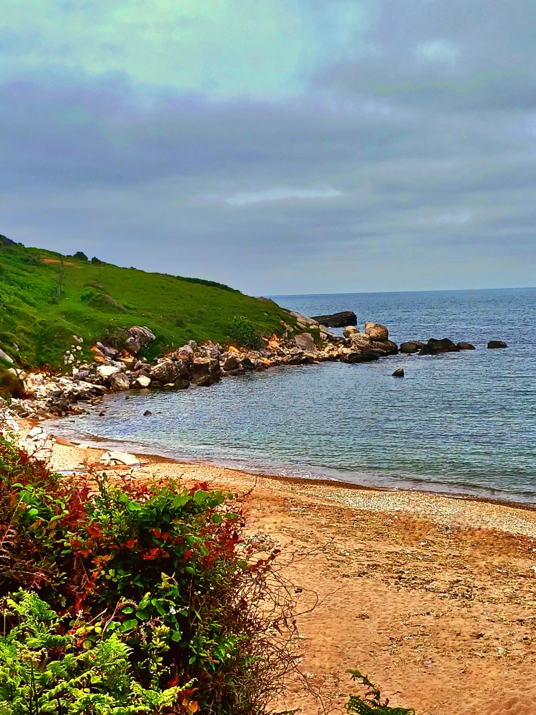 kandira-bagirganli-sahil / 15255