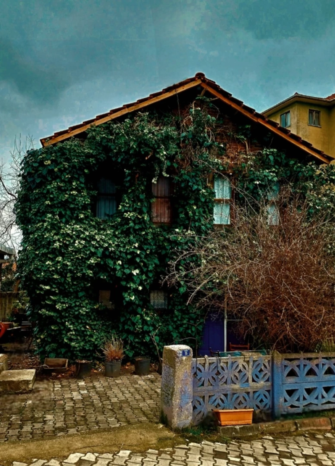 sarmasikli-ev-sarayli-koyu-kocaeli / 10599