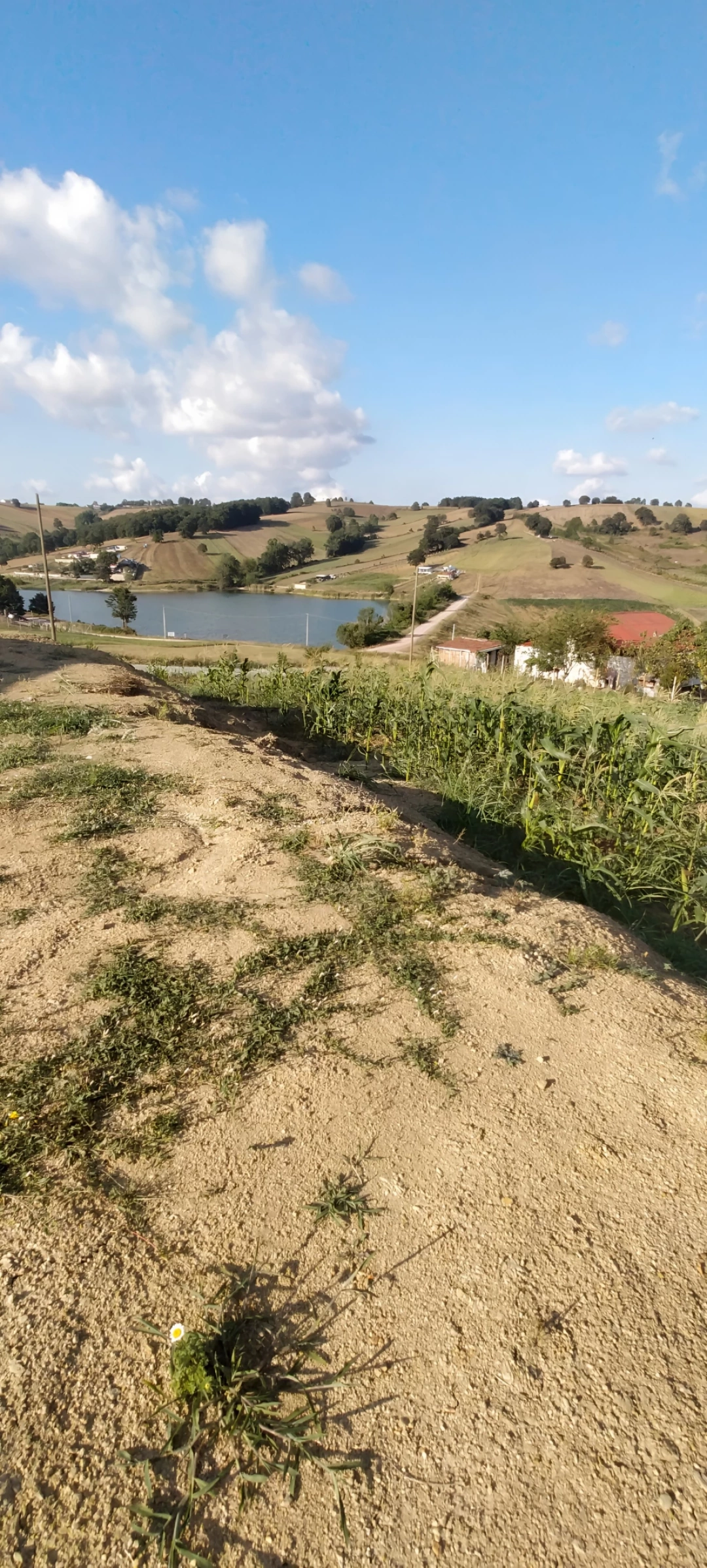 suverler-koyu-sevdamizkocaeli-kocaeli / 15785