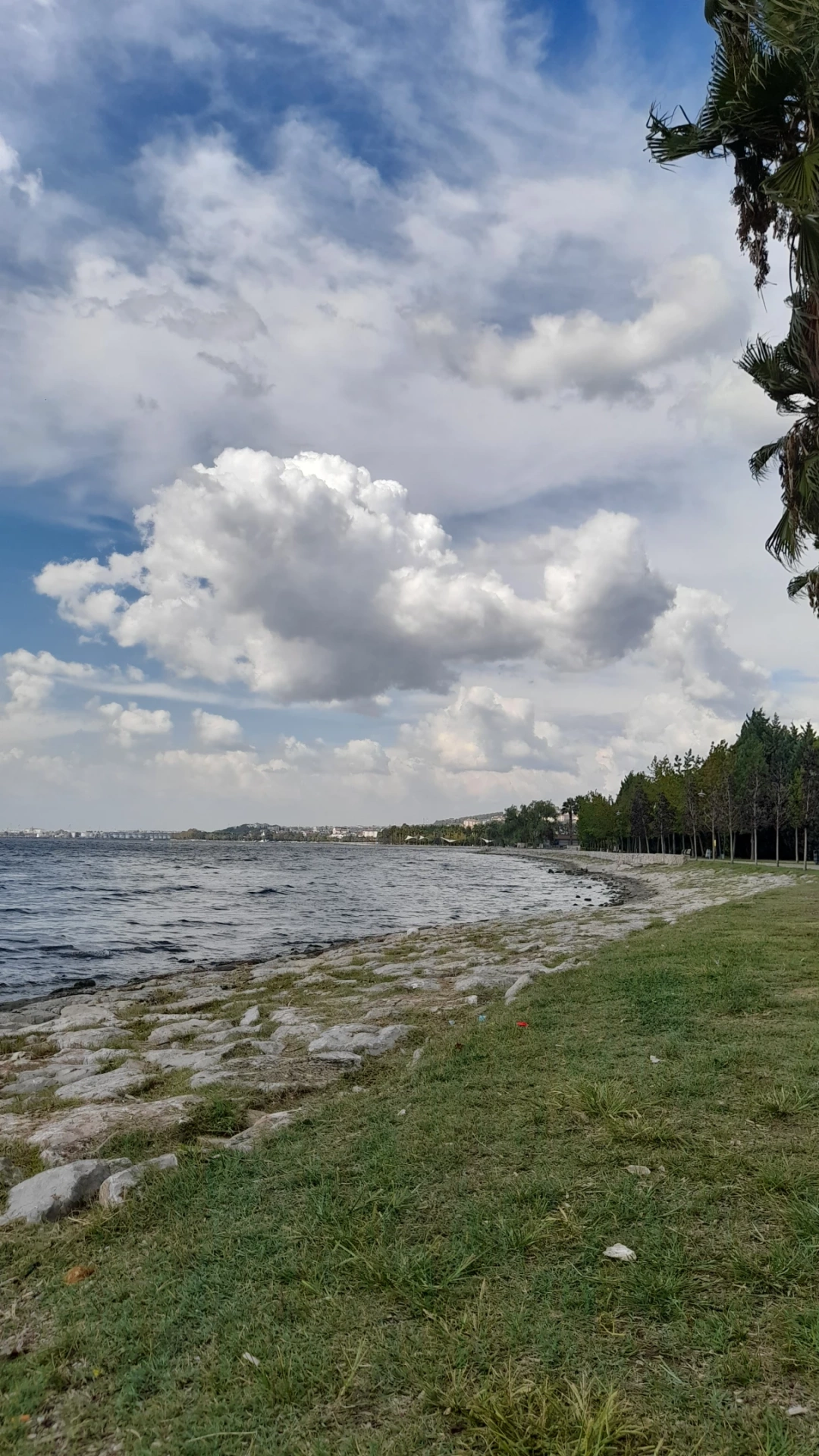 izmit-kocaeli-sekapark / 15985