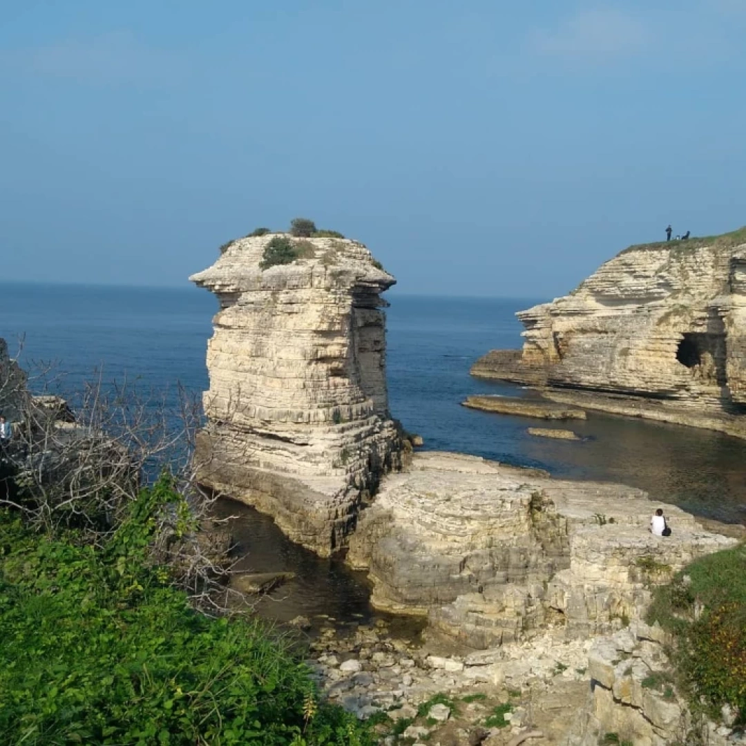 kerpe / 11585