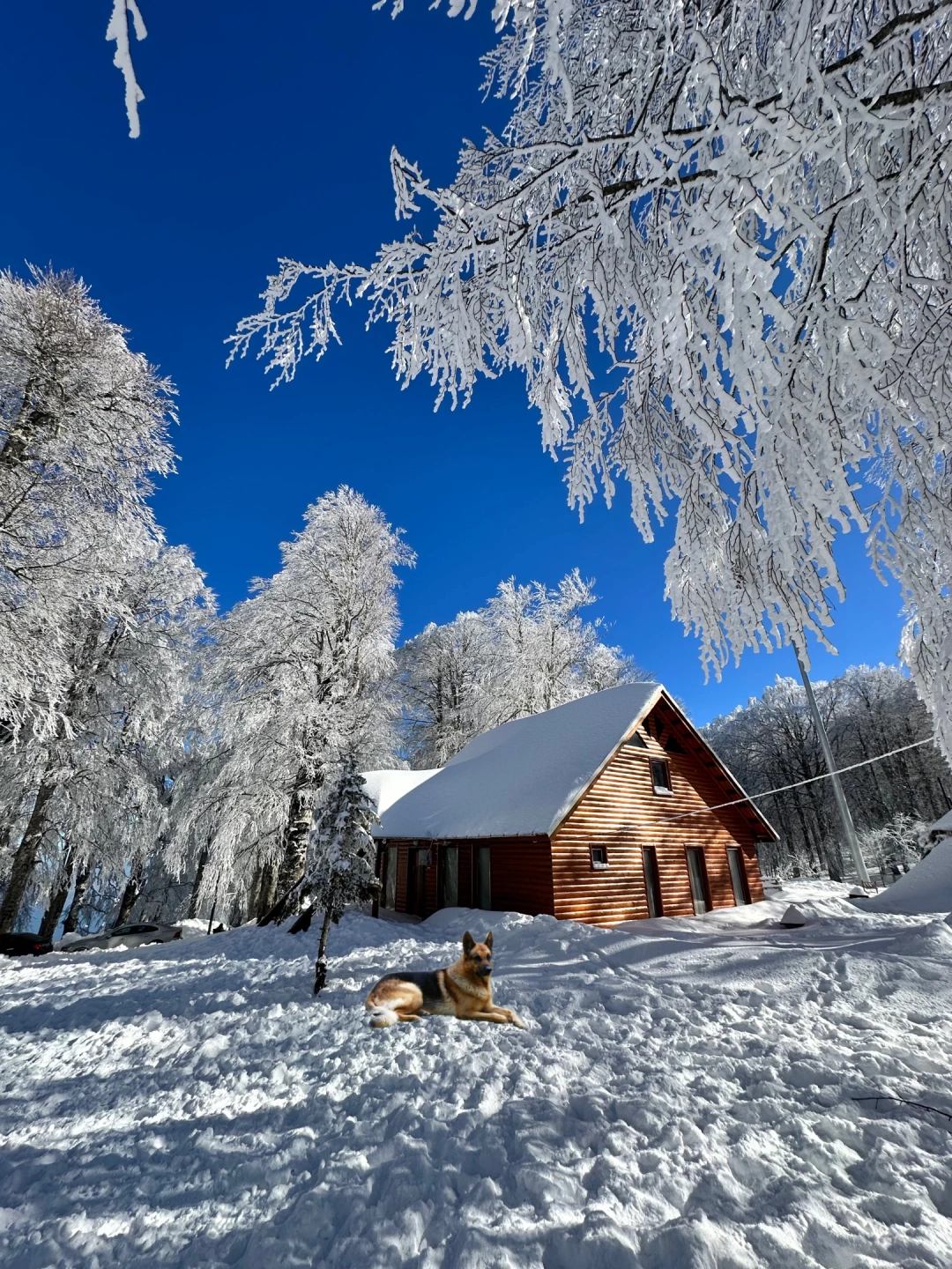 kartepe / 10385