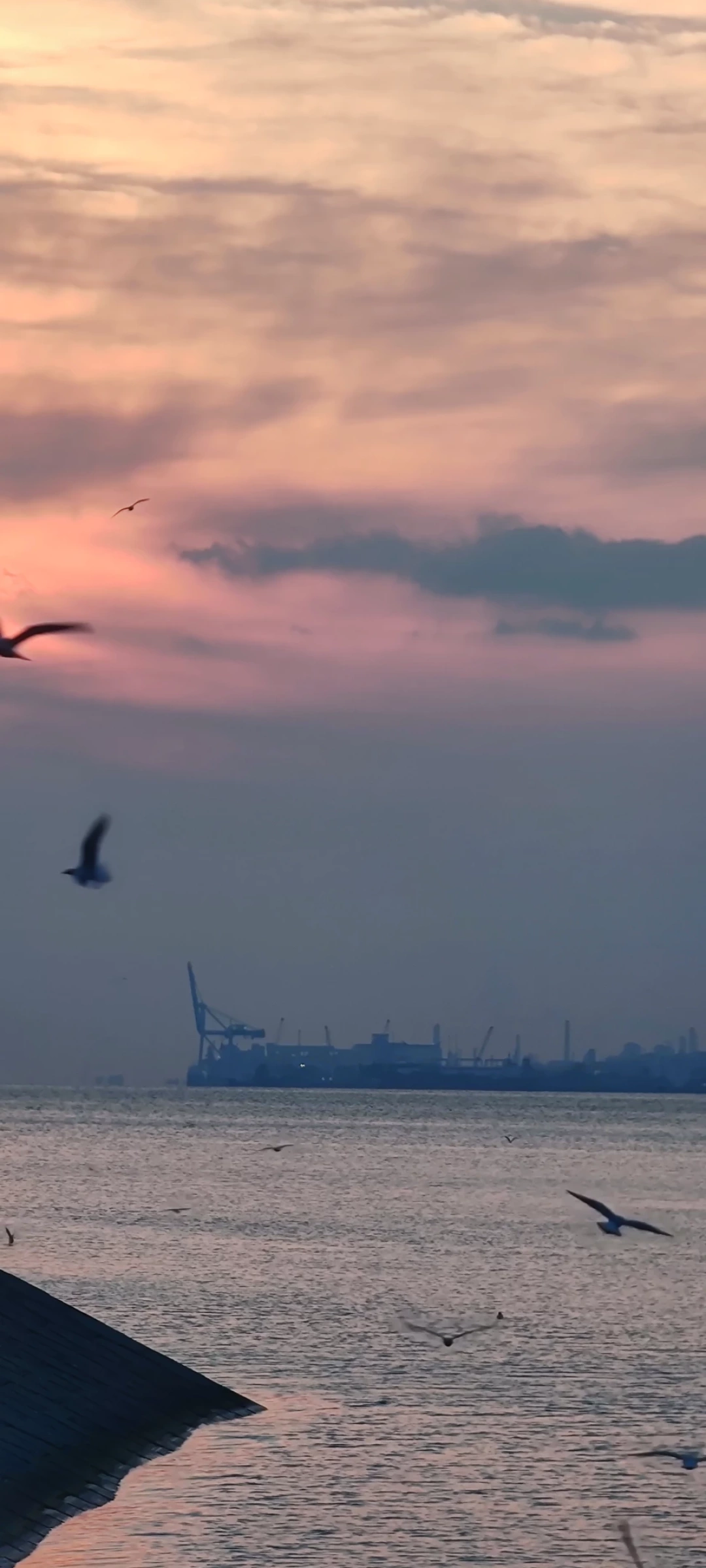 izmit-kocaeli-sevdamizkocaeli-fotograf / 14985