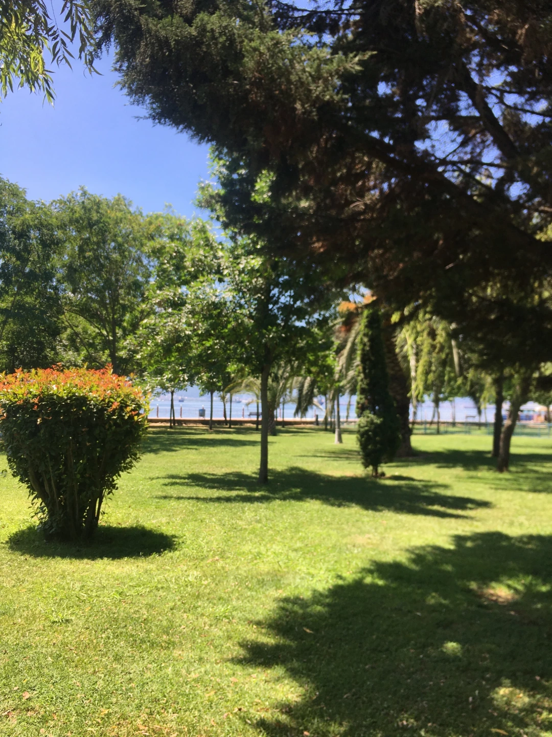 marina-izmit / 7434