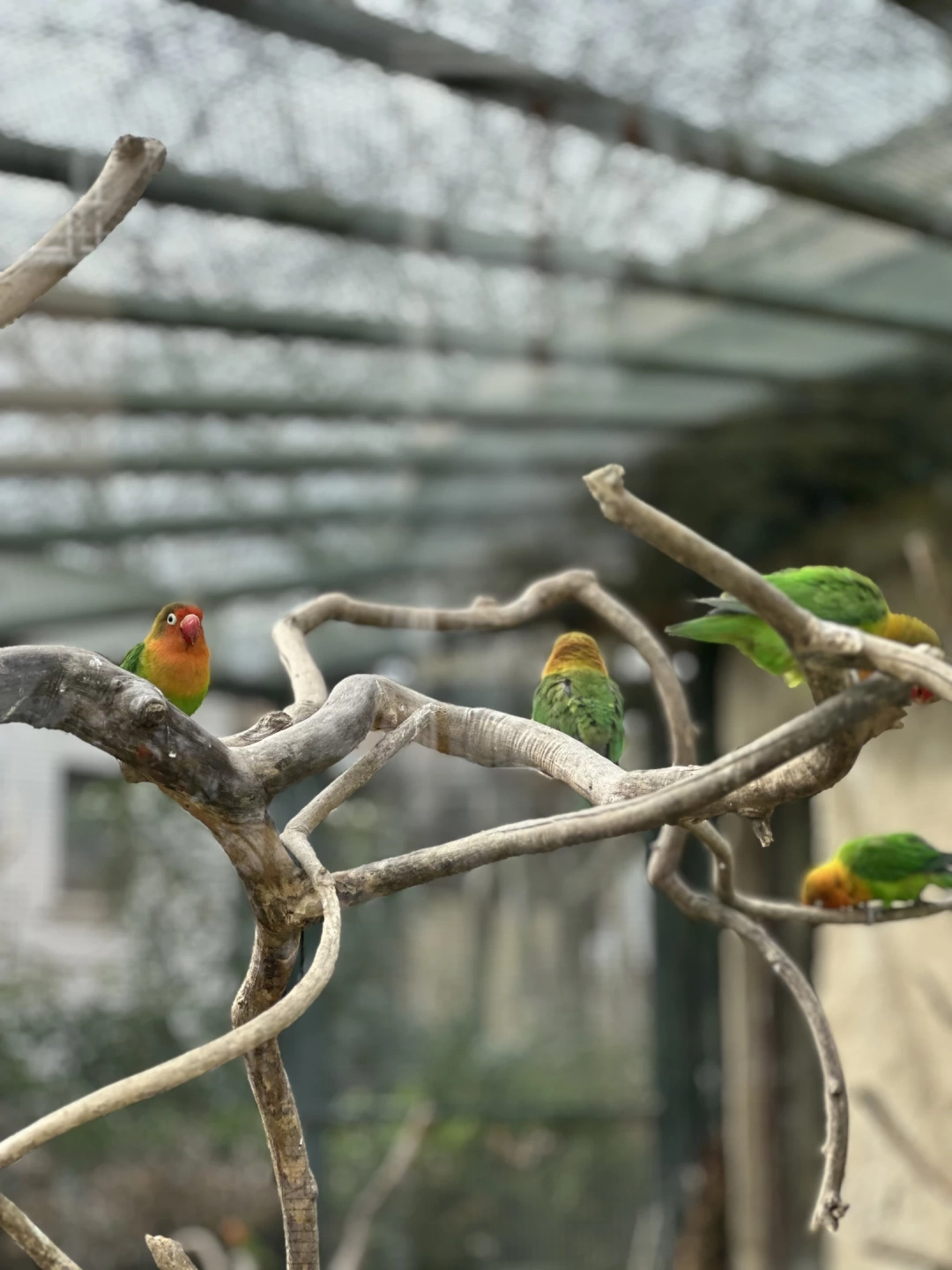 ormanya-izmit-kocaeli / 9634