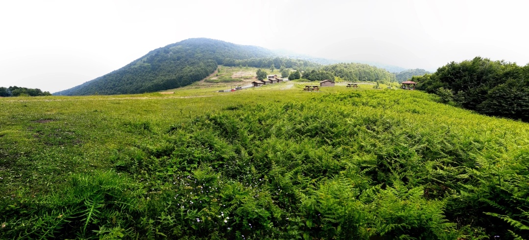 kartepe-suadiye-tabiat-parki / 5078