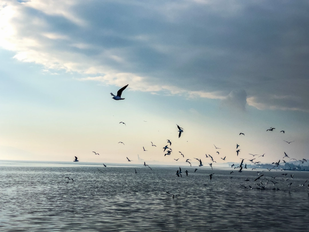 izmit-kocaeli-halkevi-heykel-muze-saatkulesi / 2734