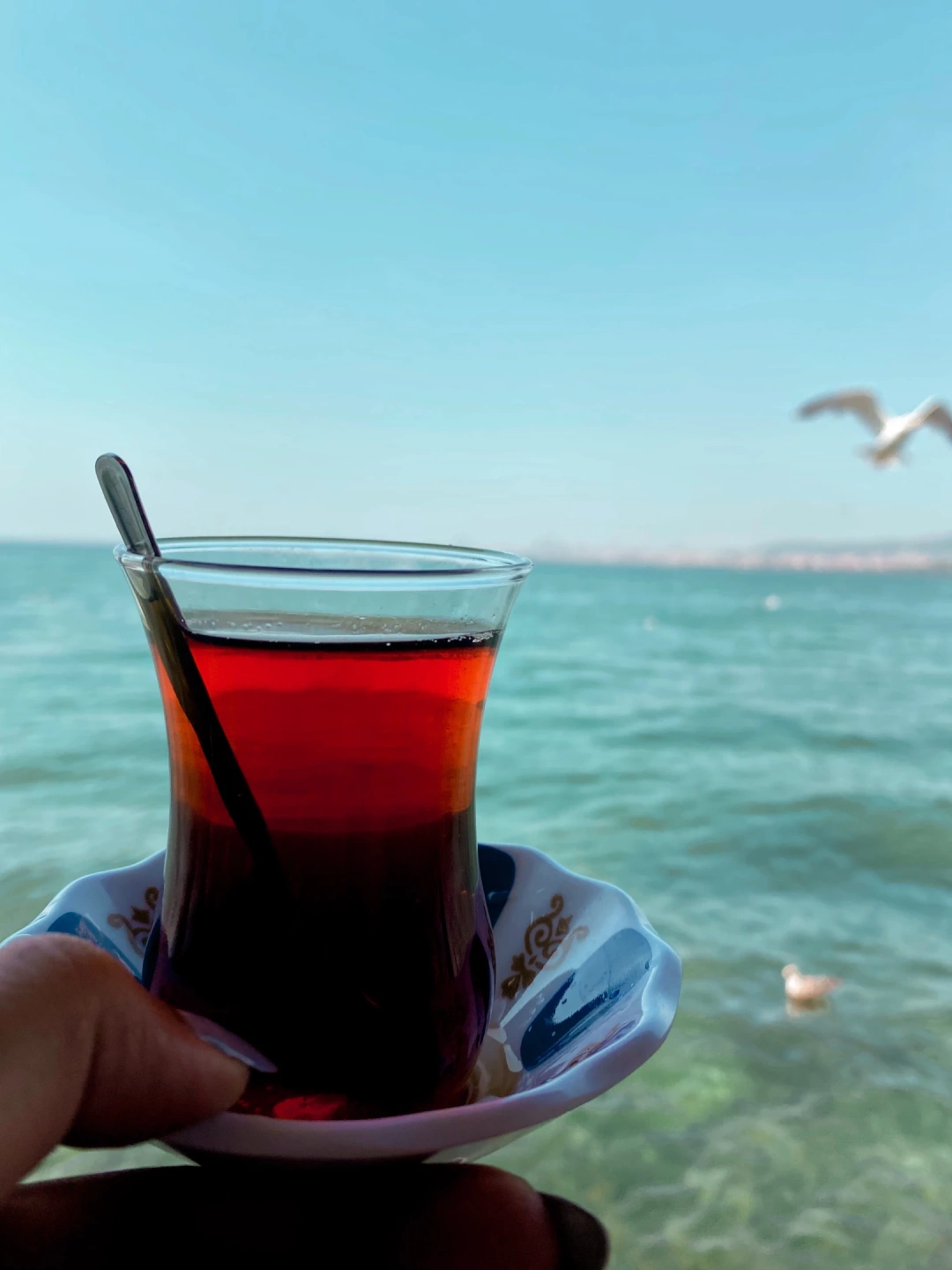 cay-kocaeli-izmit / 2034