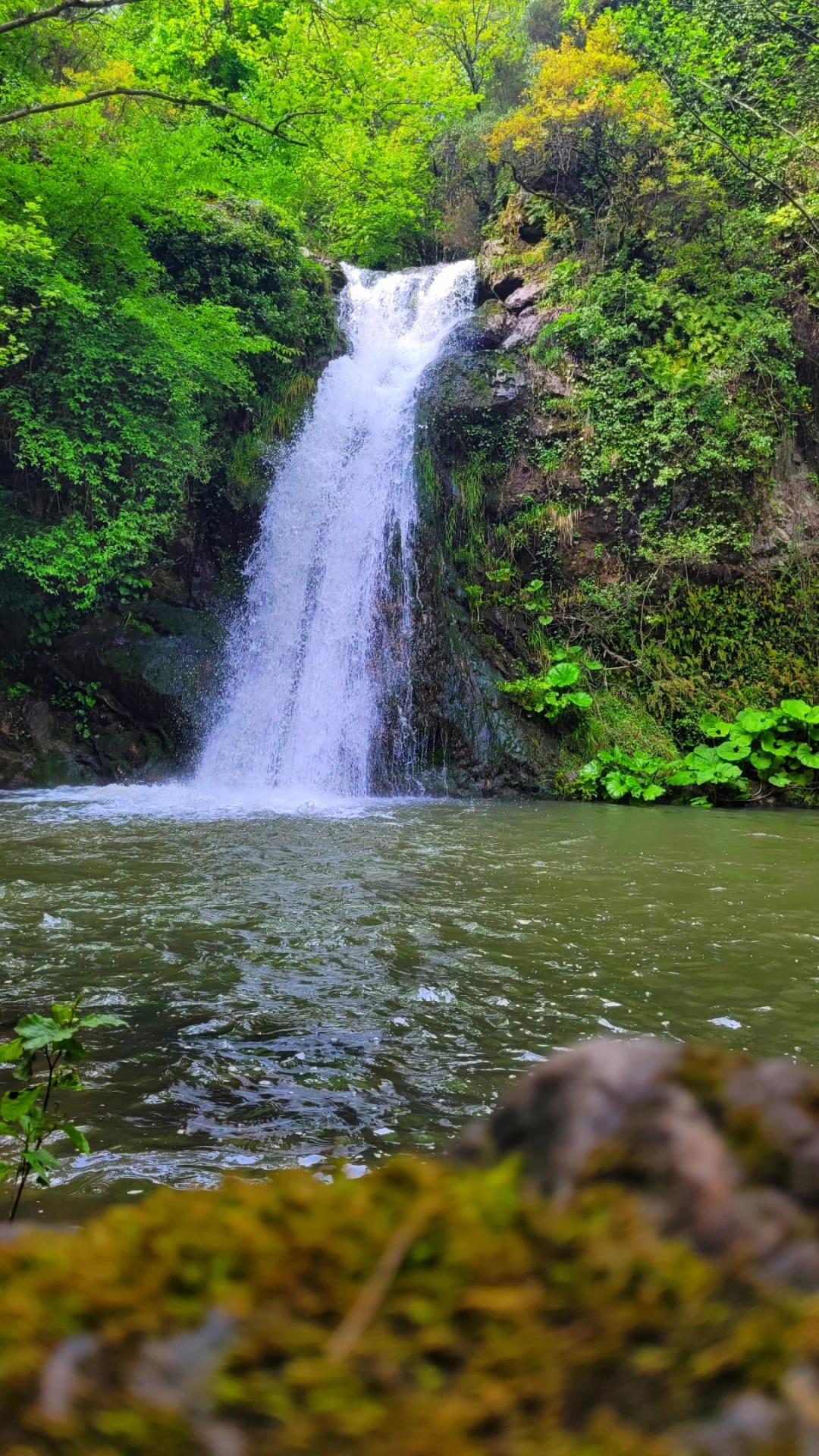 cinarlidere-selalesi / 3634