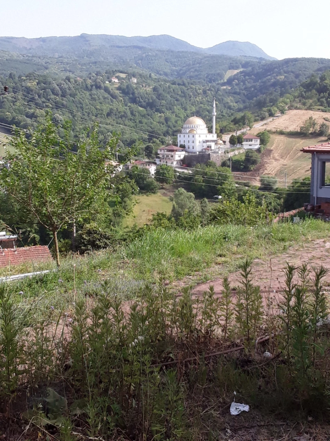 yeniferhadiye / 15134