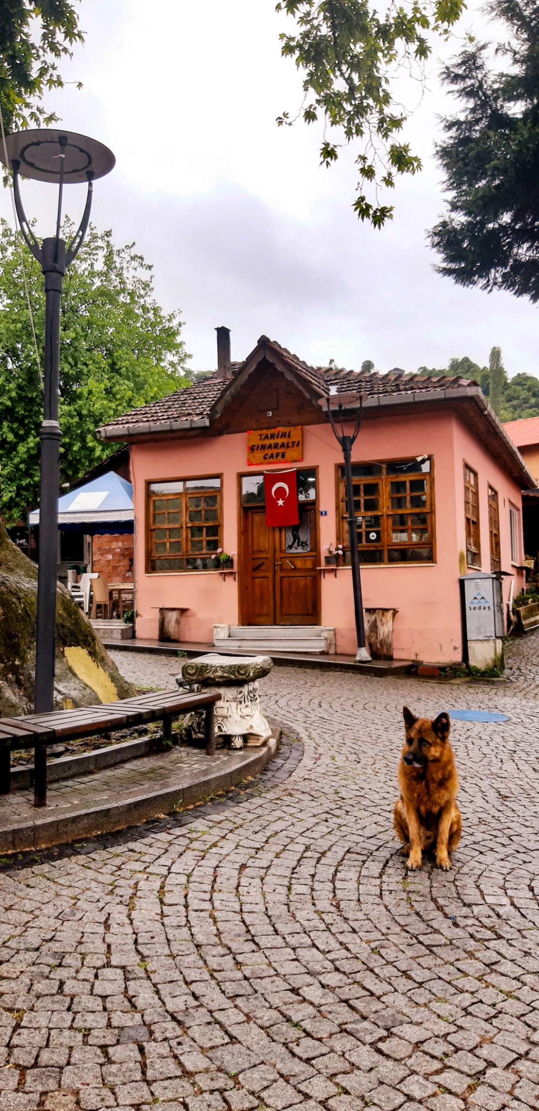 saraylikoyu / 12648