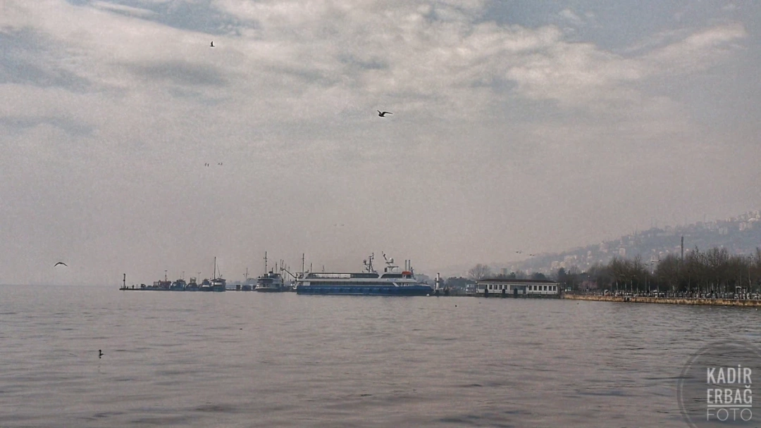 sahil-izmit-kocaeli-foto-kadir-erbag / 12404