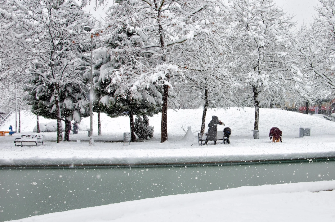 dogukisla-genclik-parki / 9248