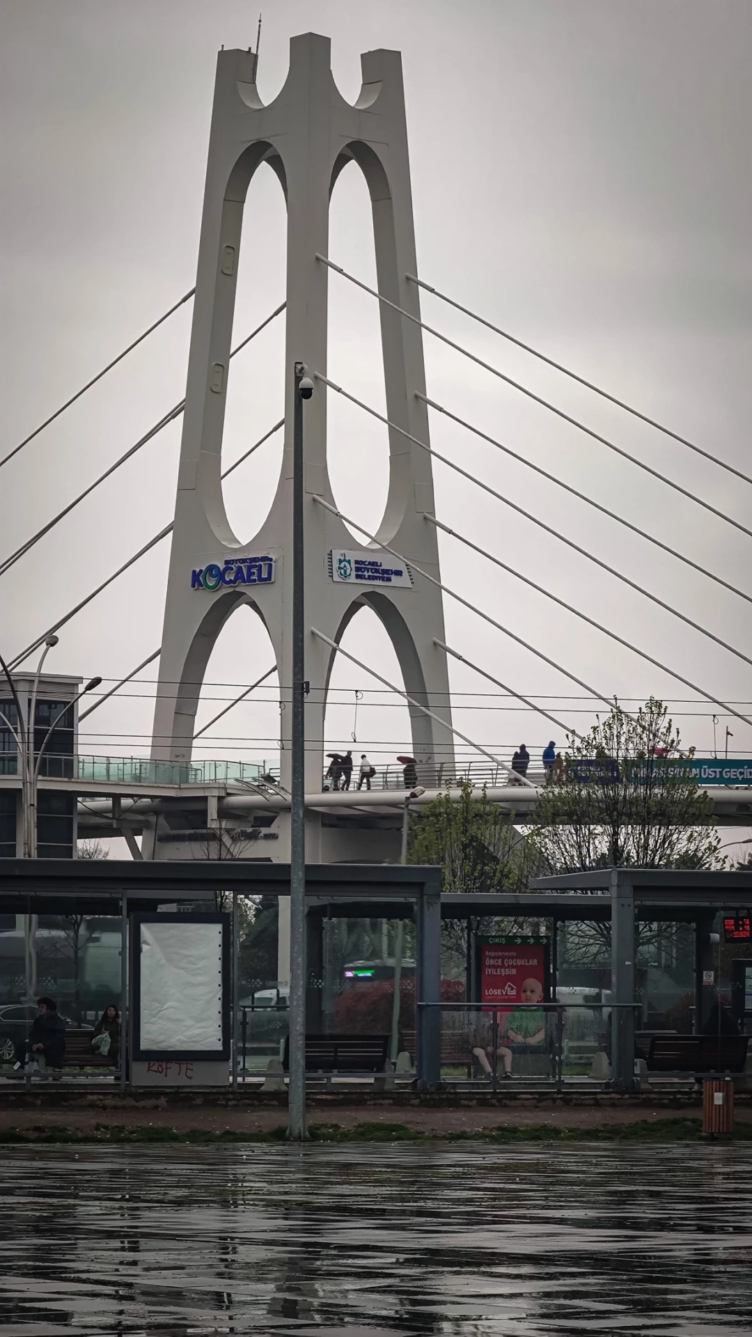 kocaeli-izmit / 7904