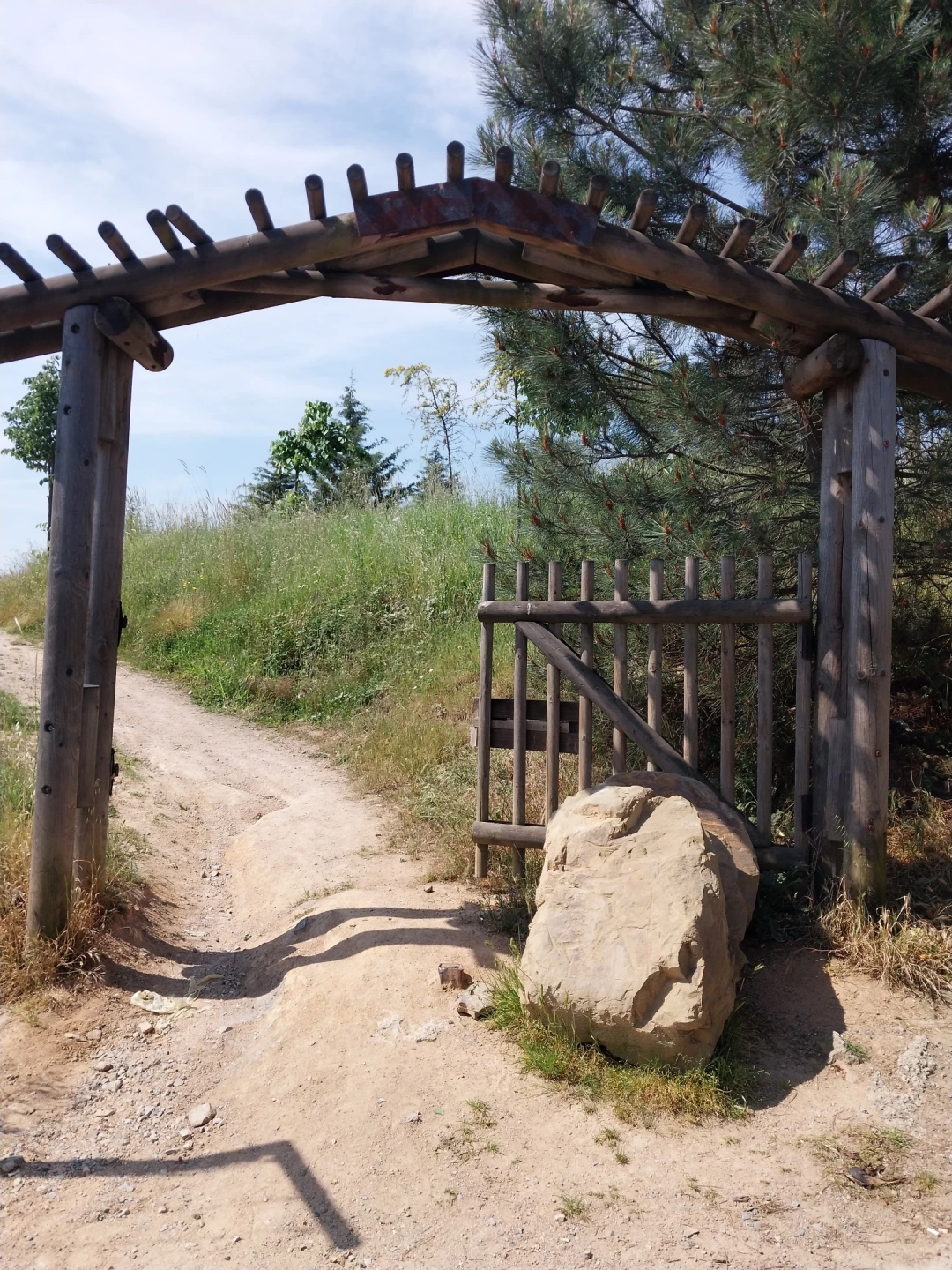 orman-yolu / 13904
