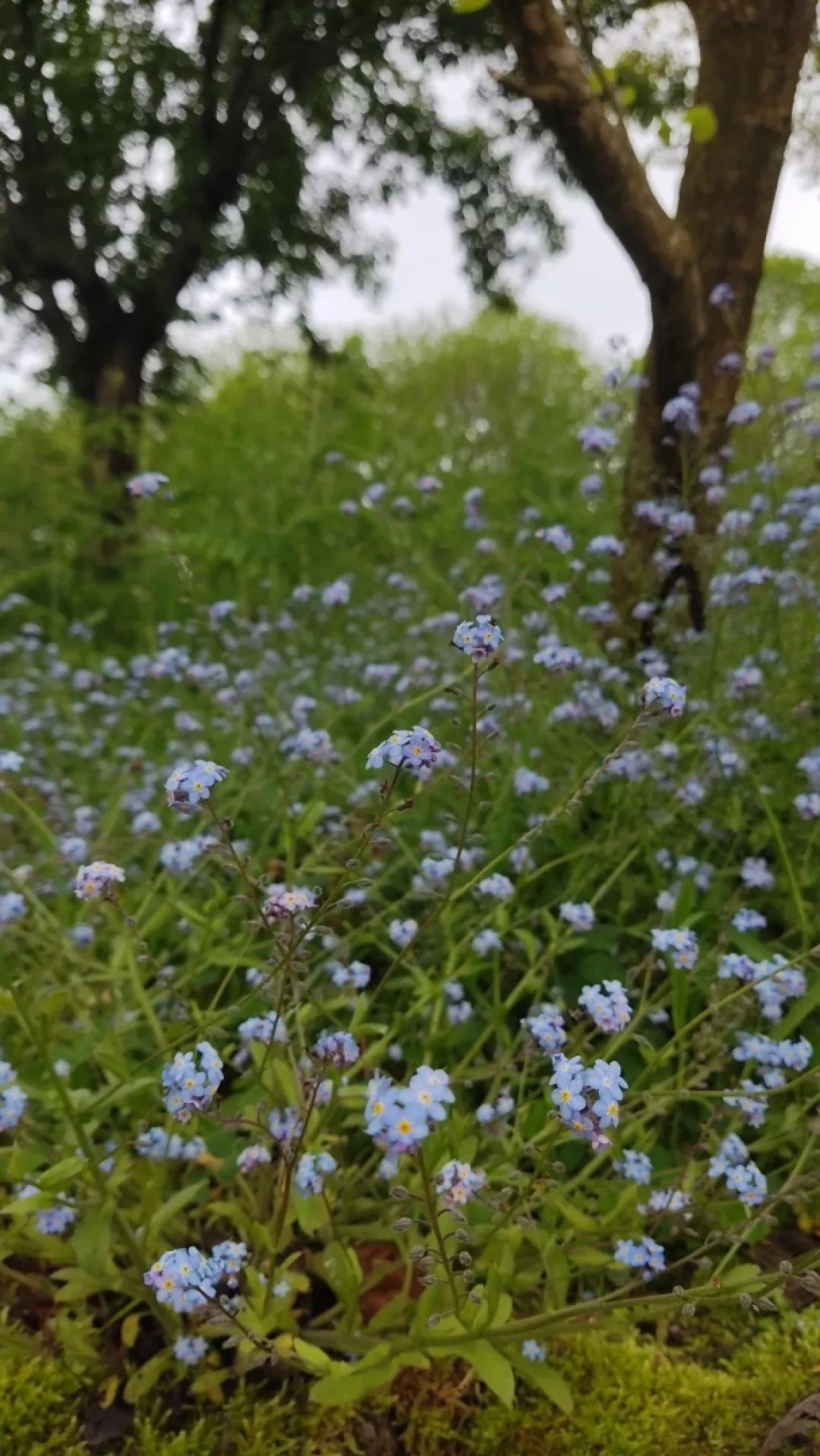 kazandere-yuvacik / 13948