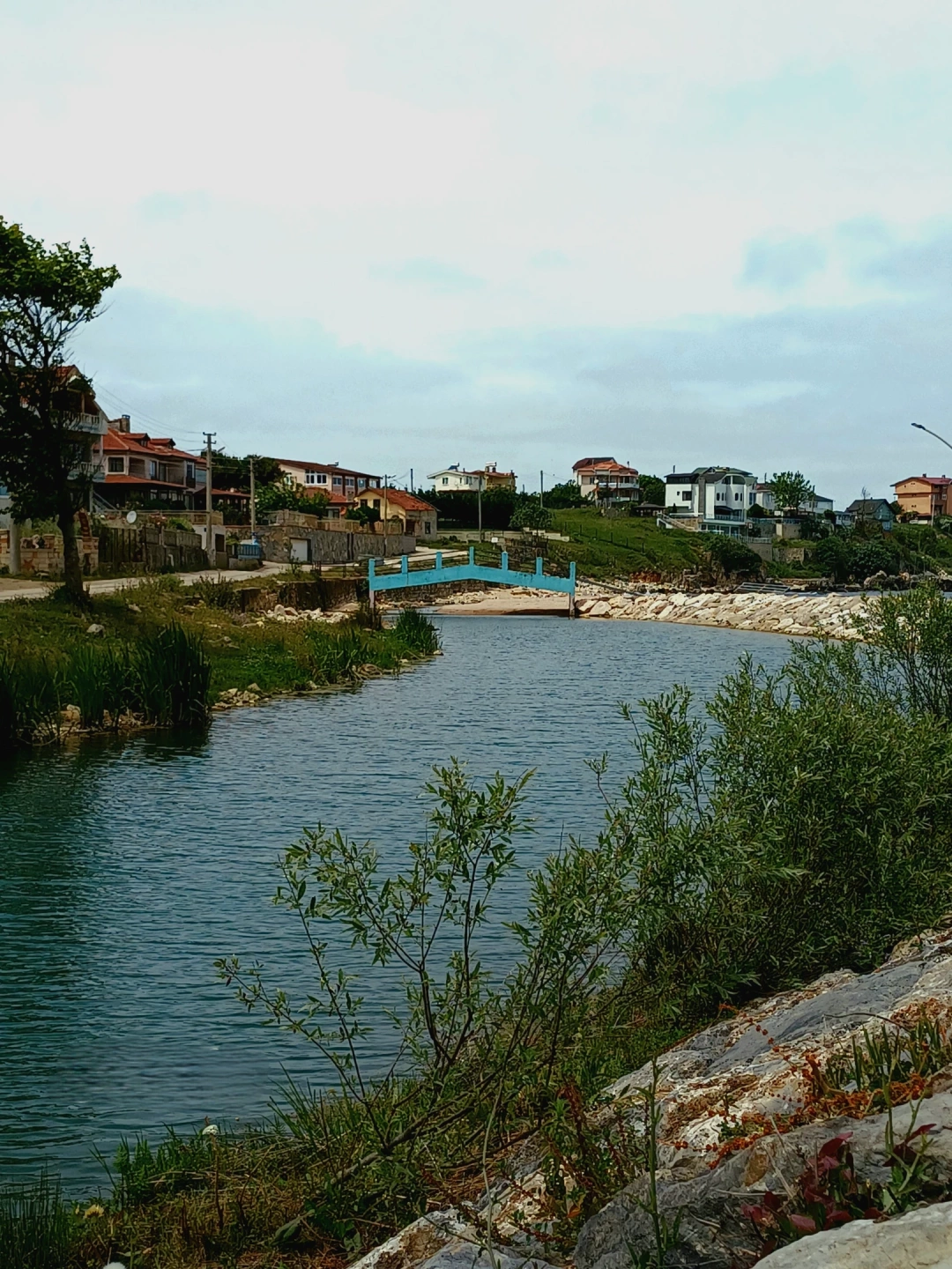 kandira-bagirganli-sahil / 15248