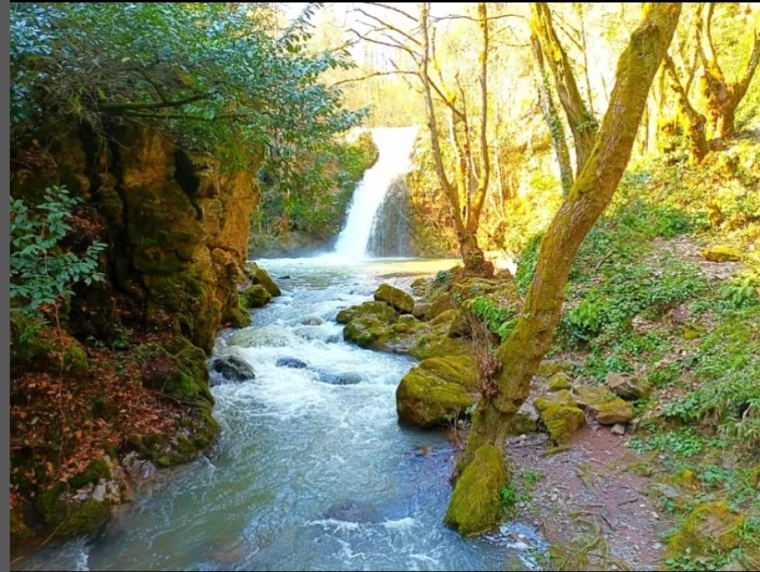 cinarli-selale / 16348