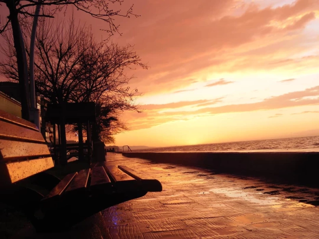 gun-batimi-halidere / 3948