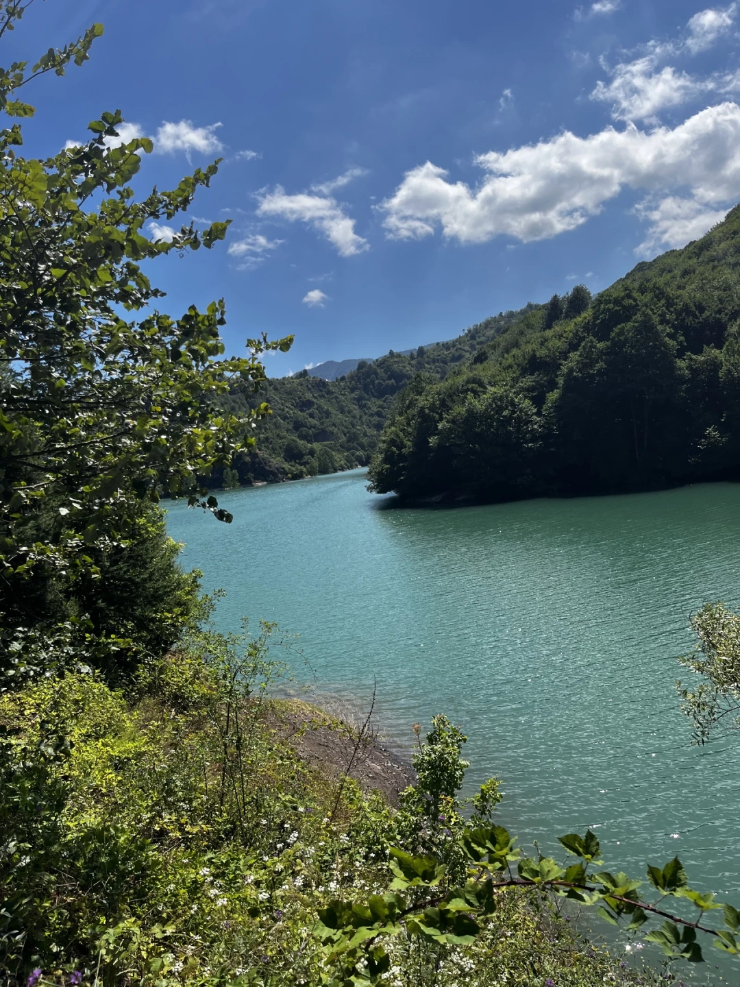 yuvacik-yesil-baraj-gol-doga-yesil-mavi / 5304