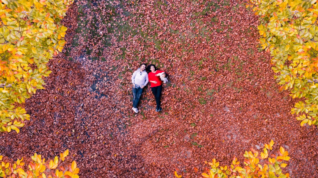 kuzu-yaylasinda-guz / 448