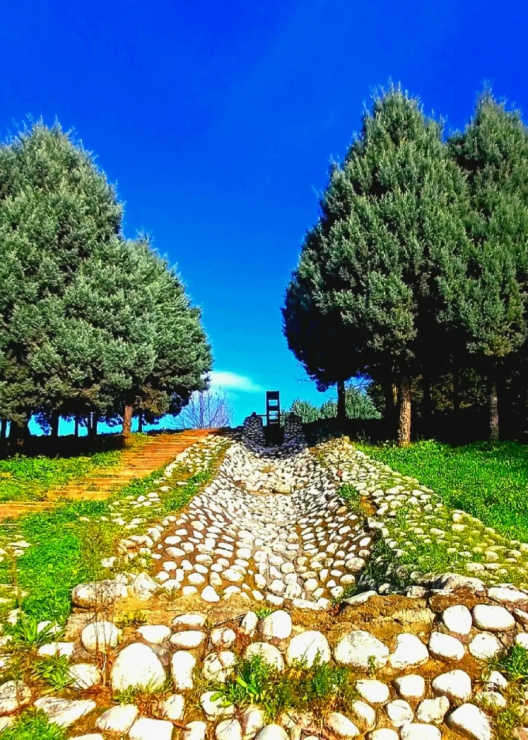 derince-kocaeli / 10548