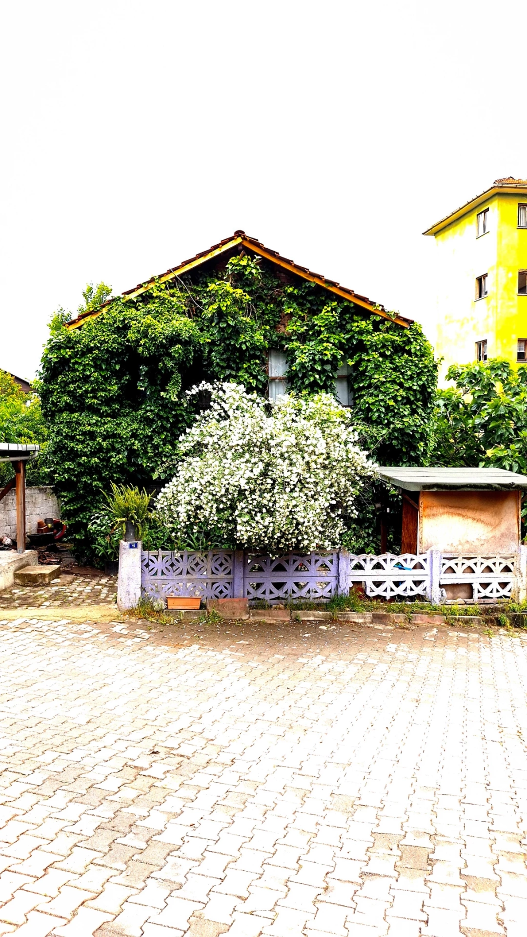 bahcenin-evi / 11292