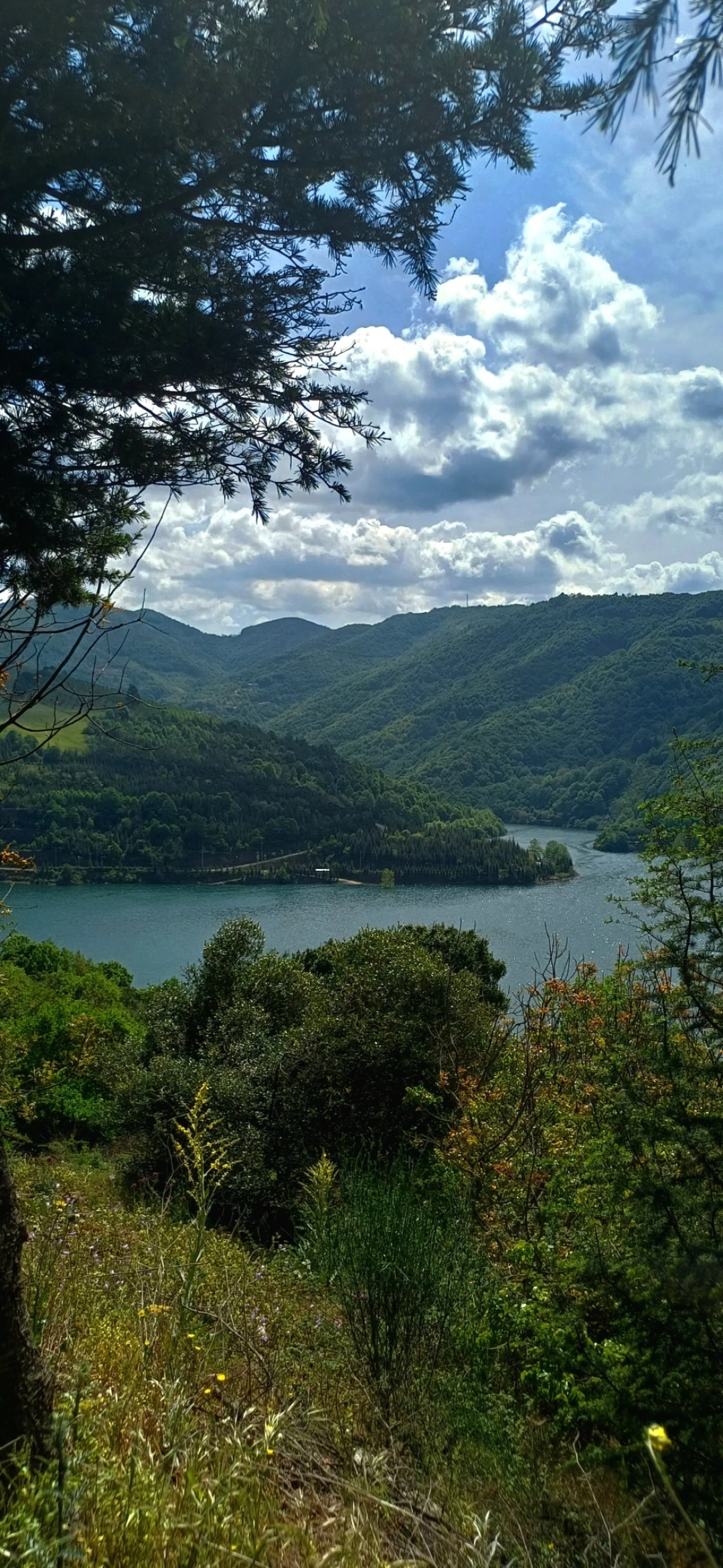 yuvacik-baraji-kocaeli / 10848