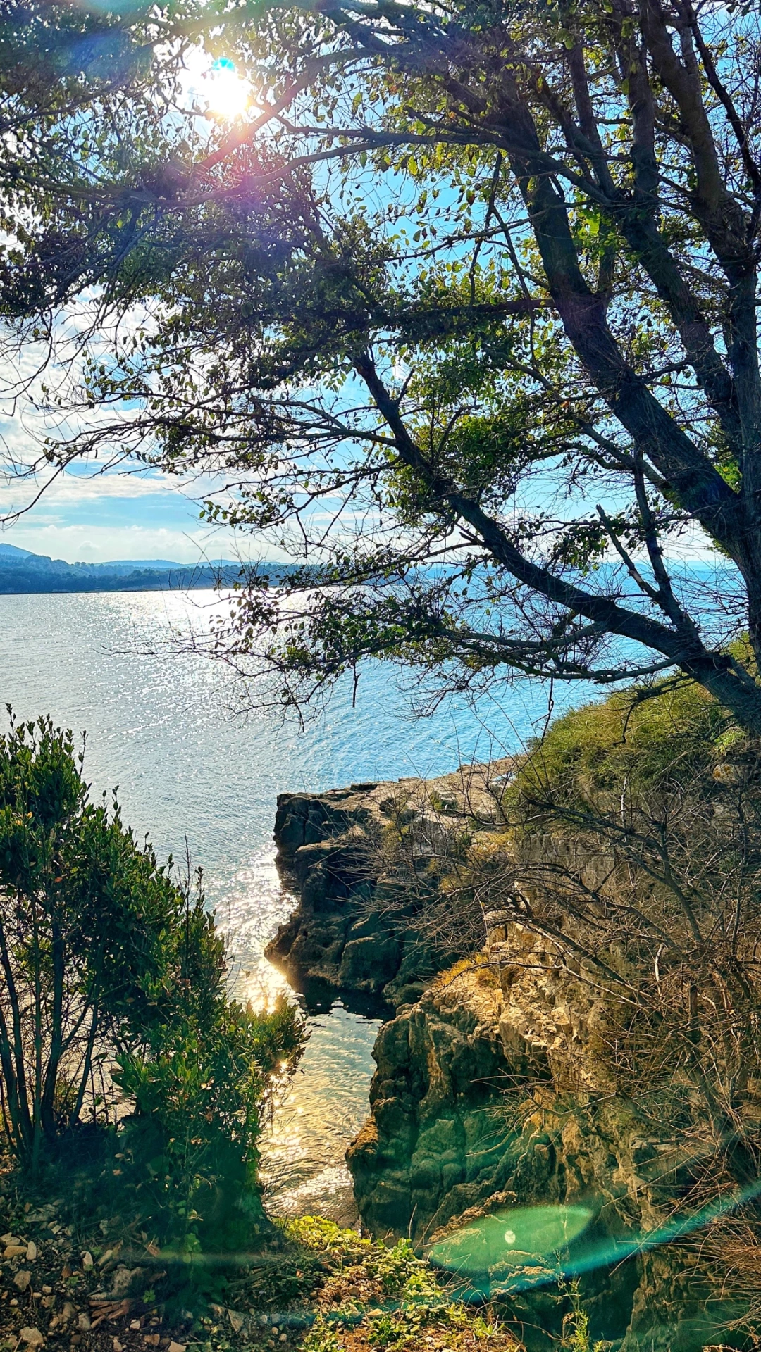 kartal-kayalar-kerpe-kefken-kartalkayalar / 6692